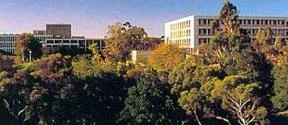 澳大利亚弗林德斯大学