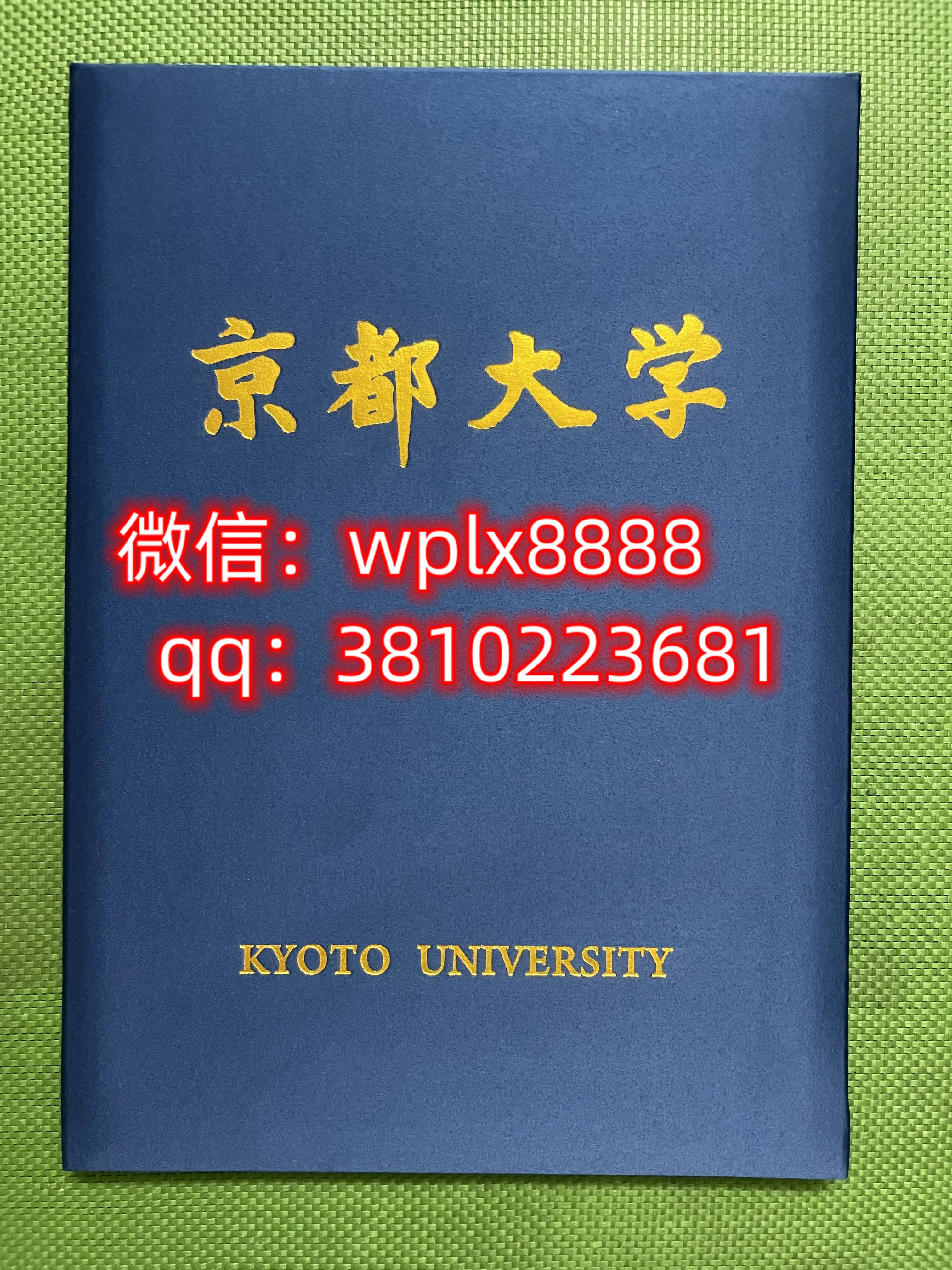 京都大学毕业证样本成绩单模板