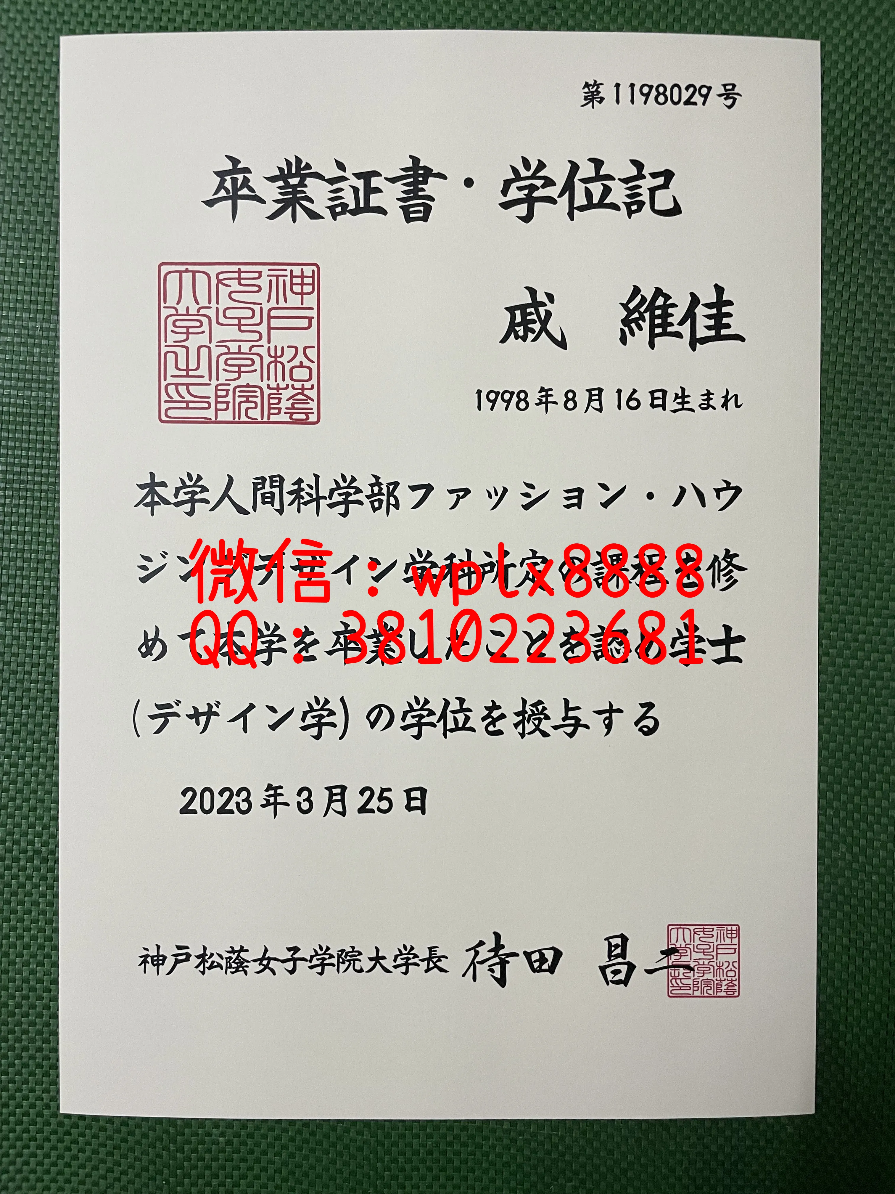 神戸松蔭女子学院大学毕业证样本成绩单模板