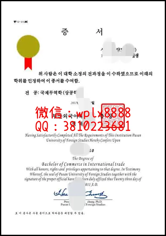 釜山外国语大学毕业证样本成绩单模板