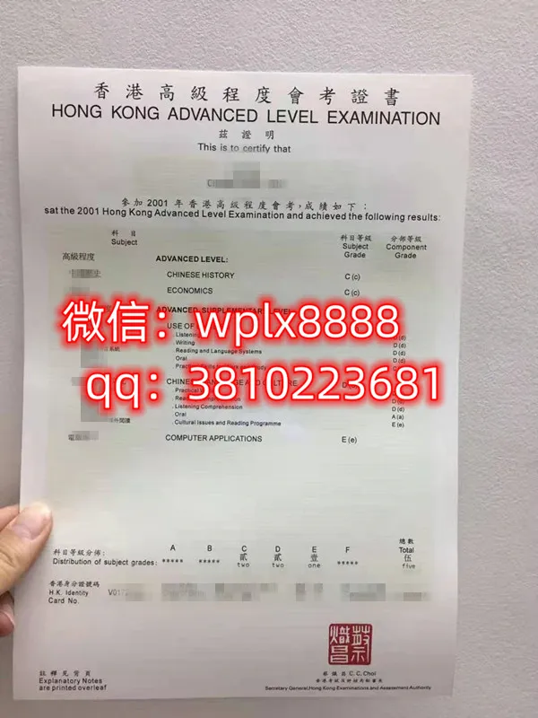 香港高级会考证书毕业证样本成绩单模板
