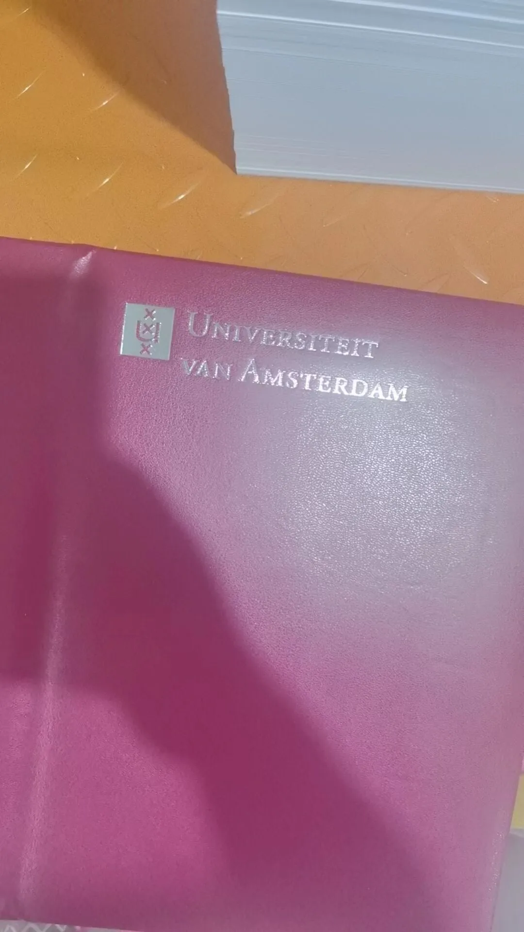 荷兰阿姆斯特丹大学毕业证样本成绩单模板