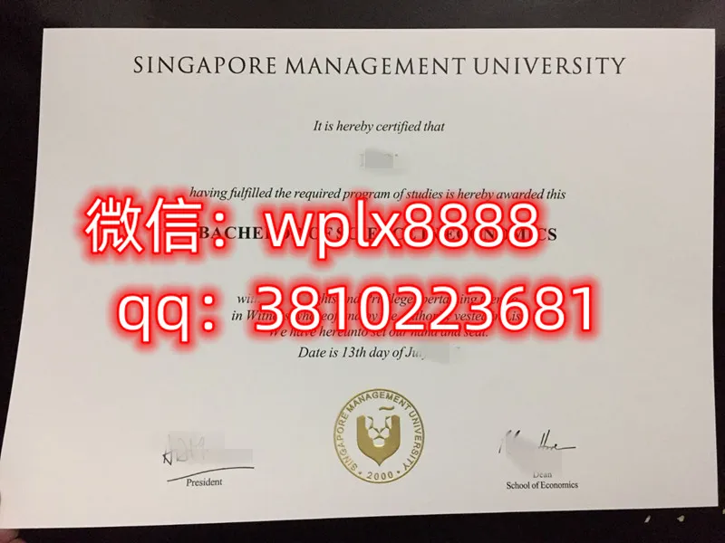 新加坡管理学院毕业证样本成绩单模板